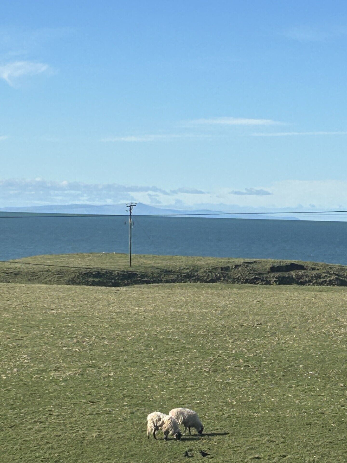 A grassy field with a body of water and mountains in the distance.