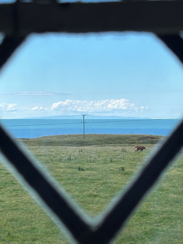 Moresby Hall by null