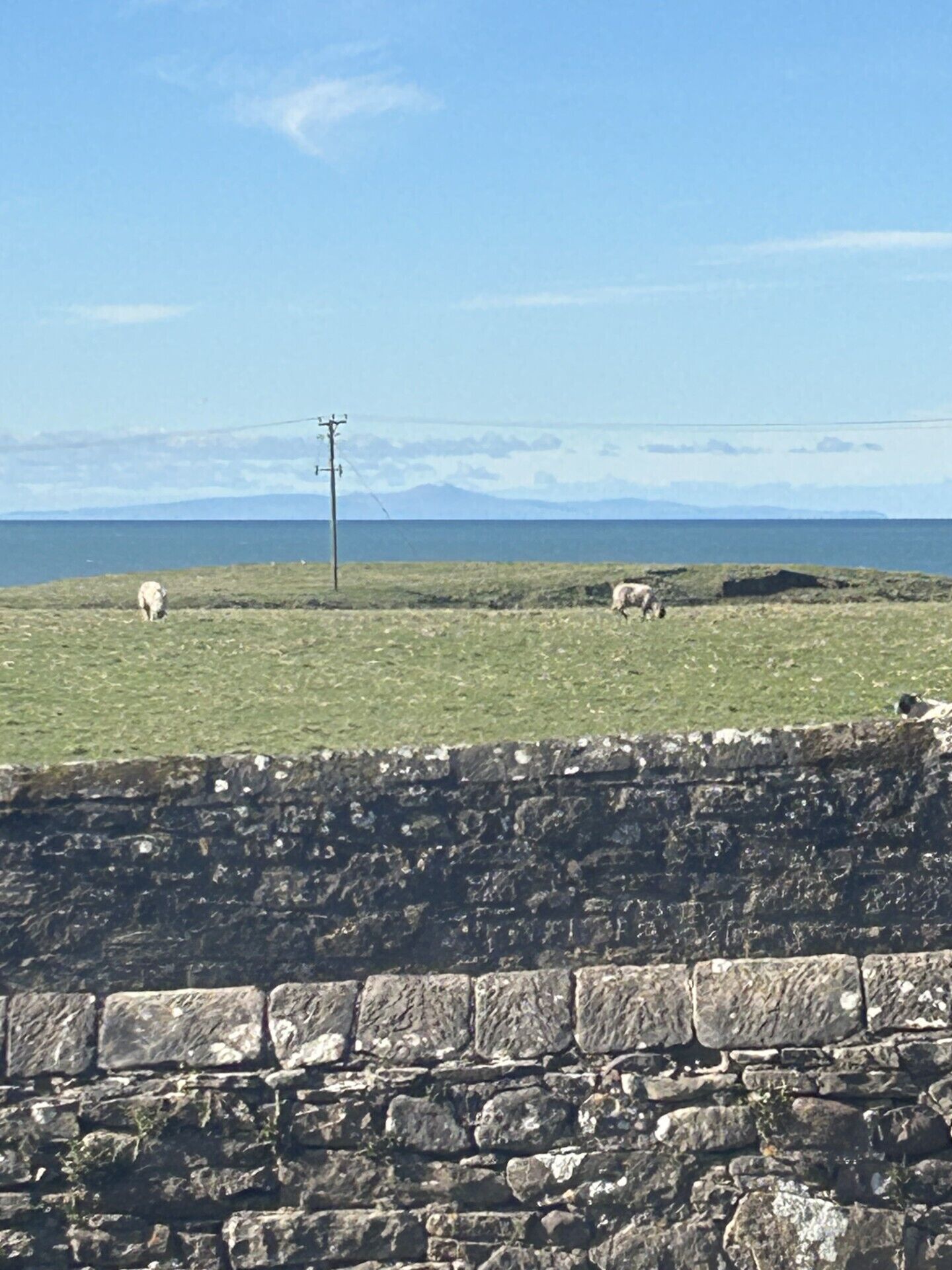 Un muro de piedra con un campo cubierto de césped y ovejas pastando.