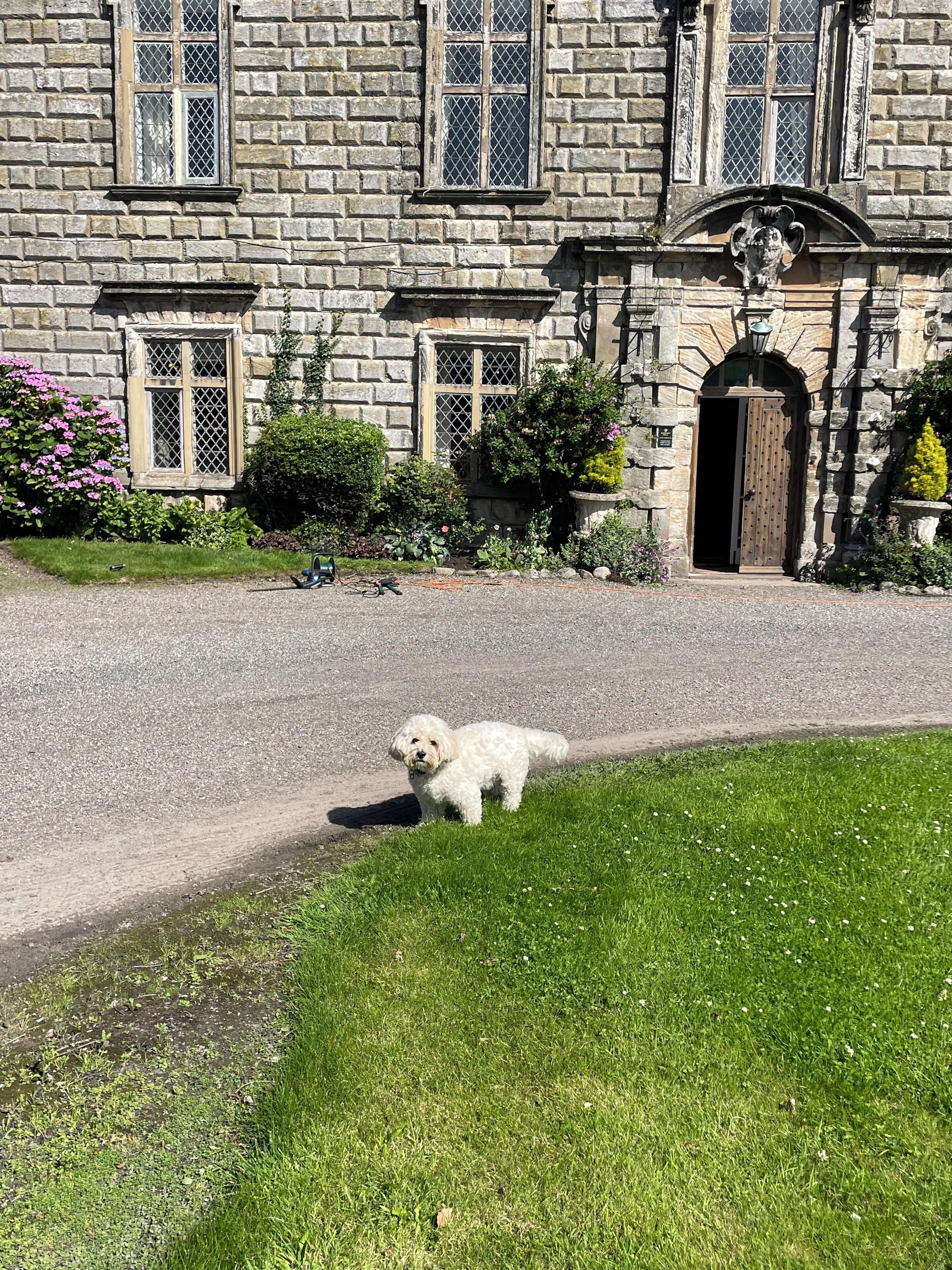 Un edificio de piedra con una entrada porticada, un perro pequeño en primer plano y un jardín cuidado con diversas plantas y flores.