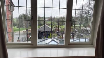 A skylight window with a view of a park and buildings.