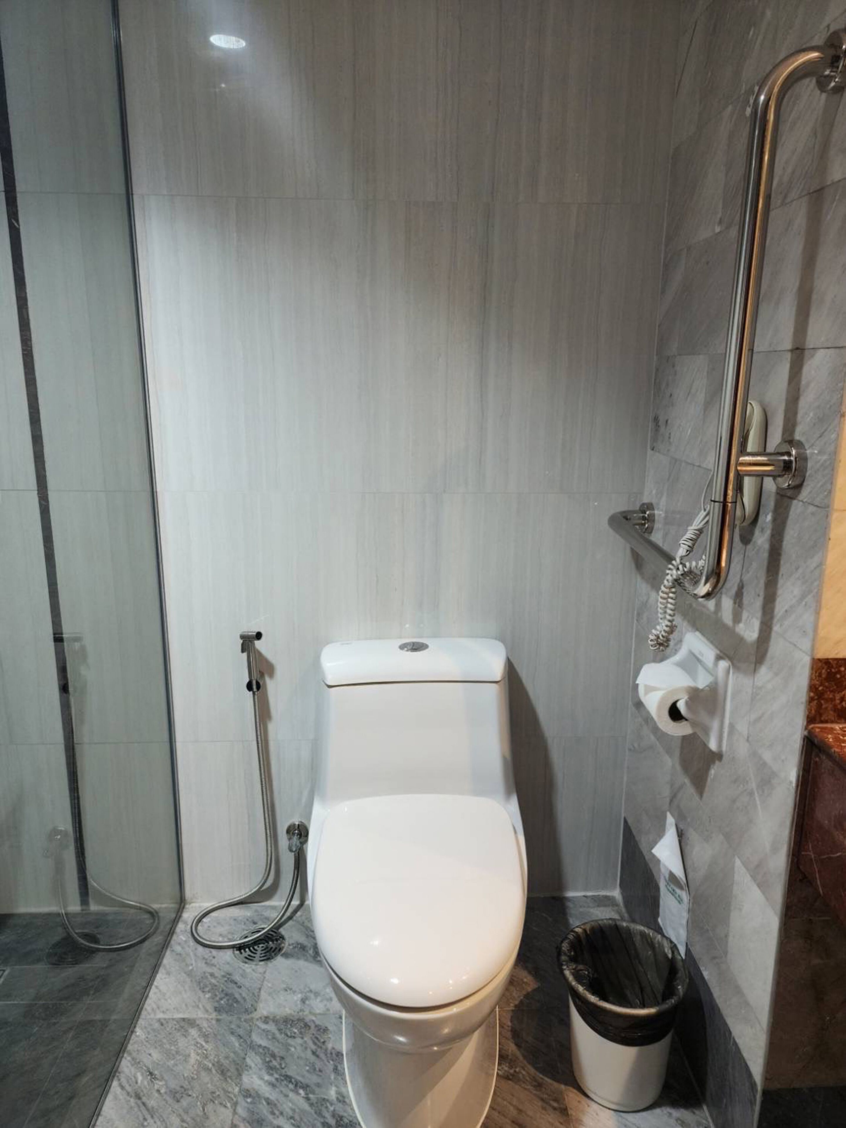 A modern bathroom with a toilet, a shower, and a handrail.