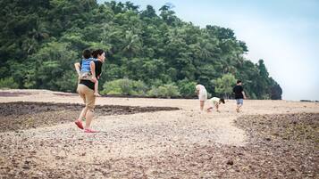 A beach scene with people walking and playing.