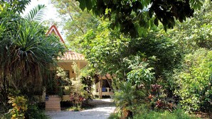 A pathway leading to a building surrounded by lush greenery and various plants. - Buffalo Bay Vacation Club (Ranong)