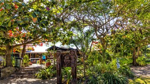 Un jardín con una estructura de madera, escalones que llevan a un área cubierta y diversas plantas.