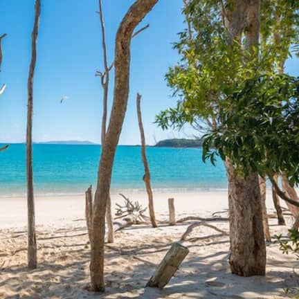 On the beach, beach shuttle, beach massages, fishing