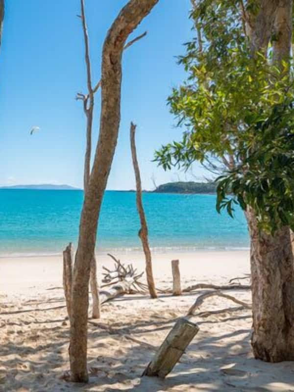On the beach, beach shuttle, beach massages, fishing