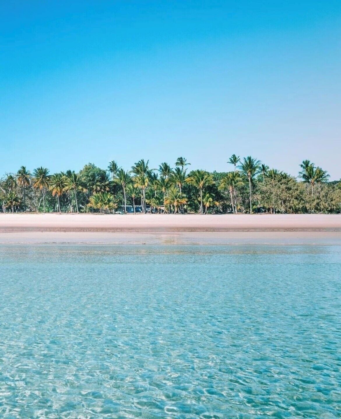 Ein Strand mit klarem türkisblauem Wasser und einer Reihe von Palmen im Hintergrund.