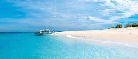 Navette pour le terminal de ferry