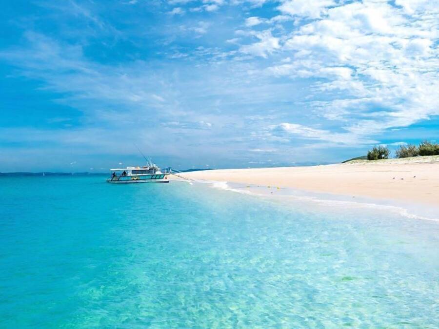 Ferry terminal shuttle