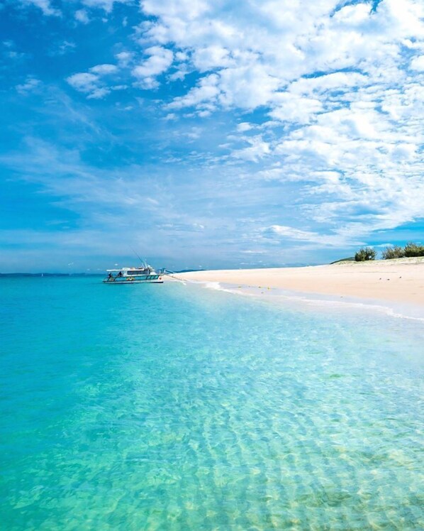 Traslado desde/hacia la terminal de ferry