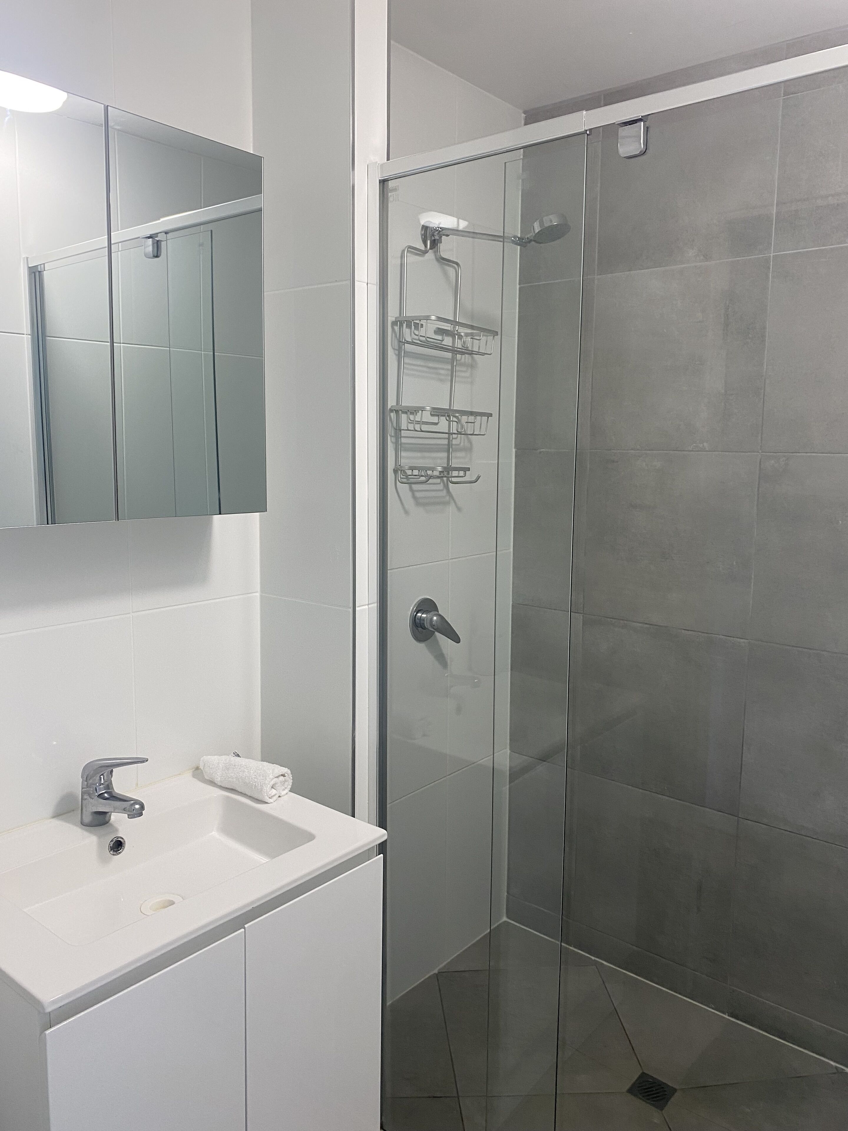 A modern bathroom with a glass shower enclosure, a white sink, and a mirror above it.
