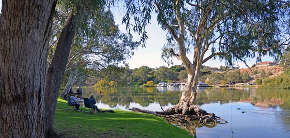Un entorno tranquilo junto al lago, con un gran árbol, una zona verde y una masa de agua calma.