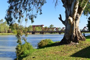 A river with a bridge and a large tree in the foreground.