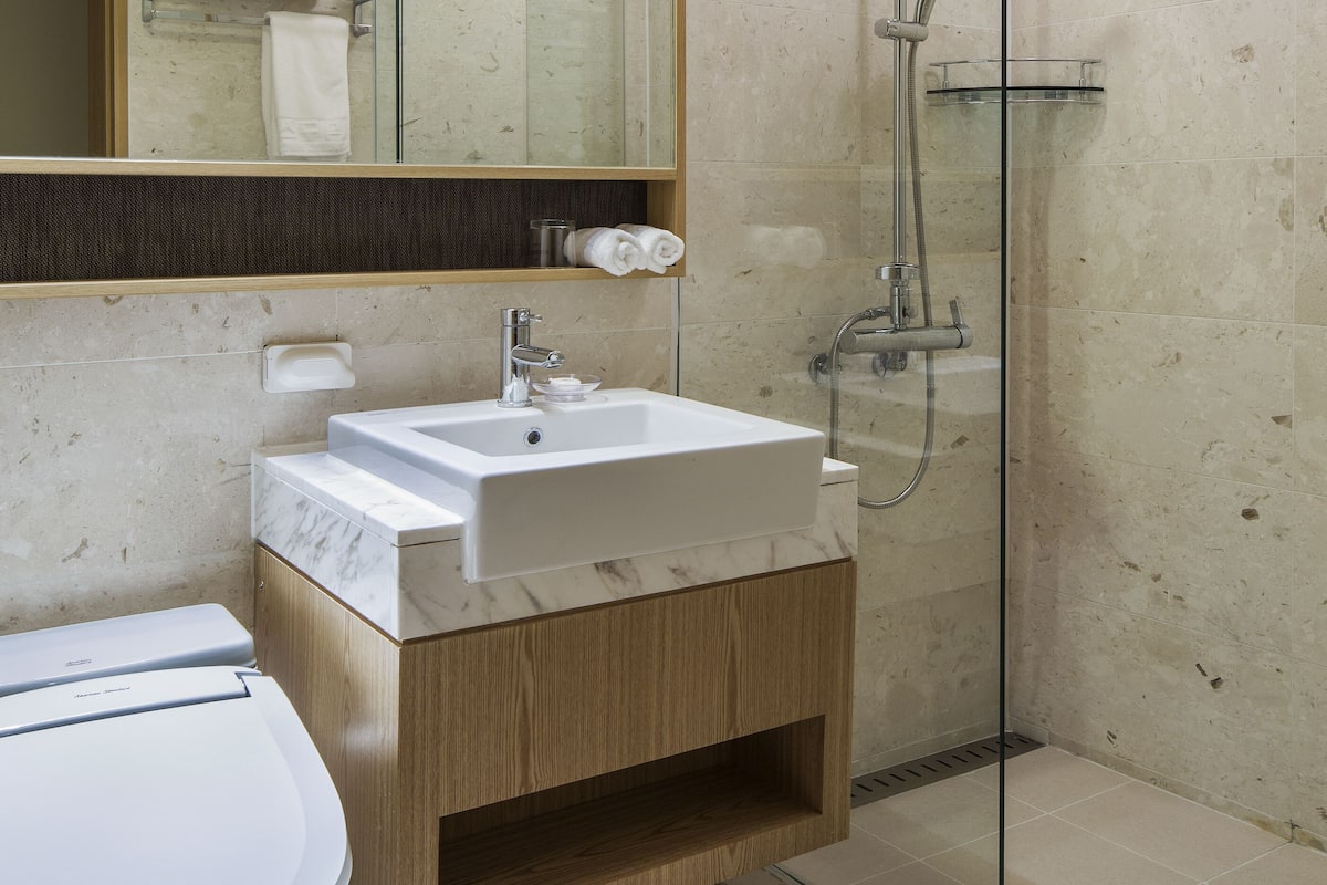 shower, hair dryer, bidet, towels