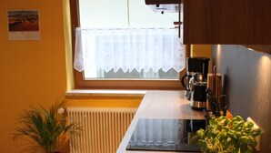 Una cocina compacta con estufa integrada, una ventana con cortina de encaje, una planta en maceta y un radiador.
