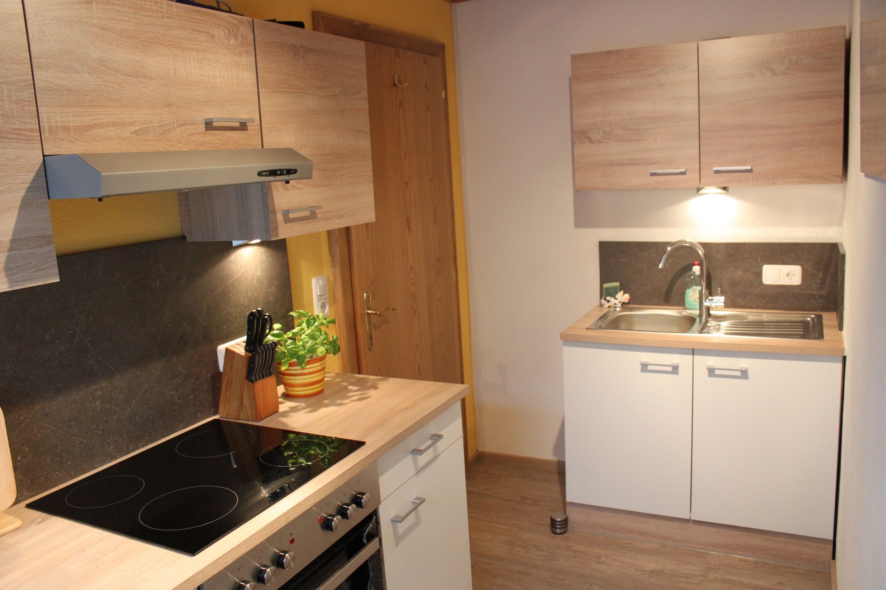 Panoramic Apartment, 2 Bedrooms, Balcony, Mountain View | Private kitchen | Stovetop, coffee/tea maker, cookware/dishes/utensils