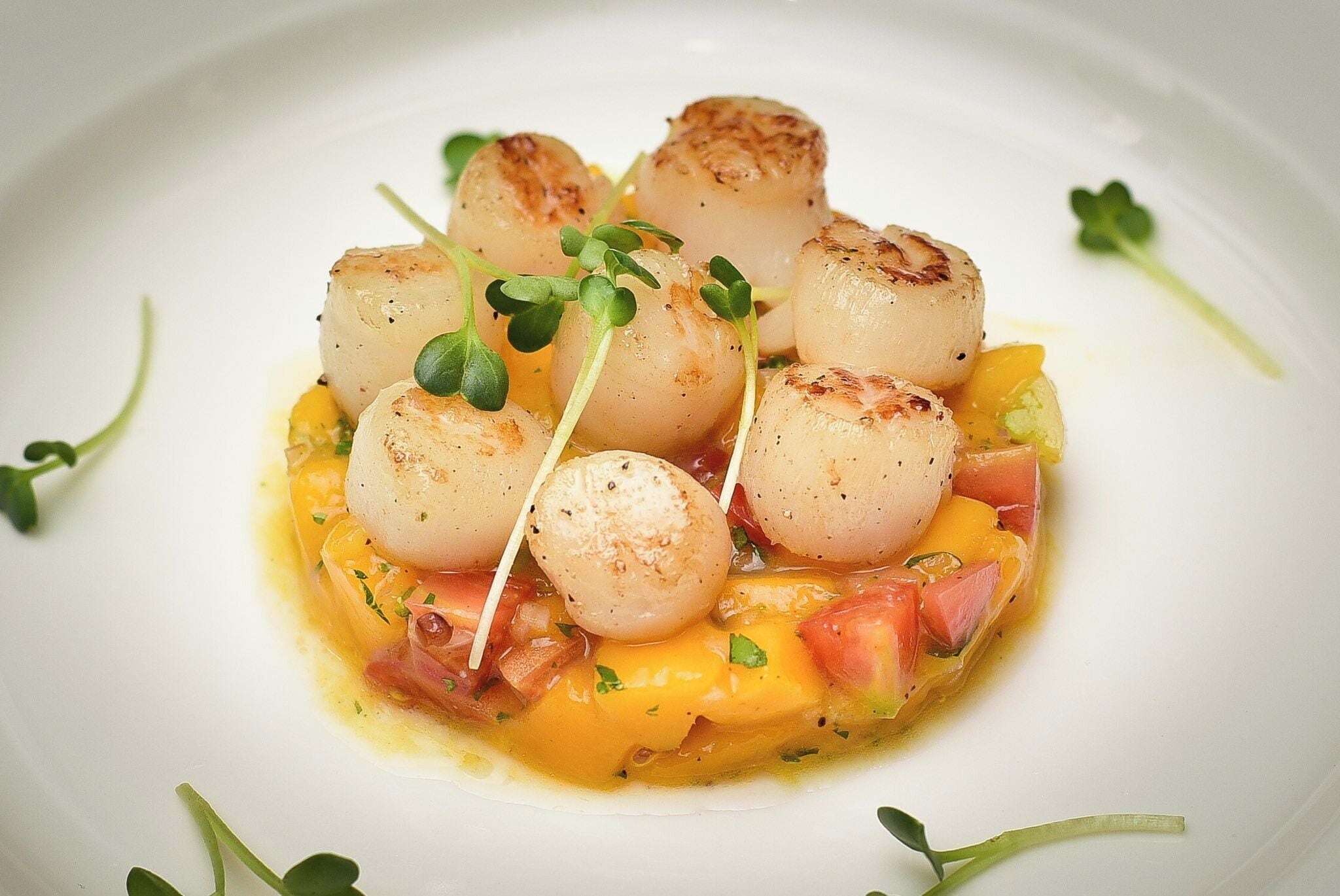 A dish with seared scallops, diced tomatoes, and a creamy sauce, garnished with microgreens.