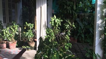 Garden view
