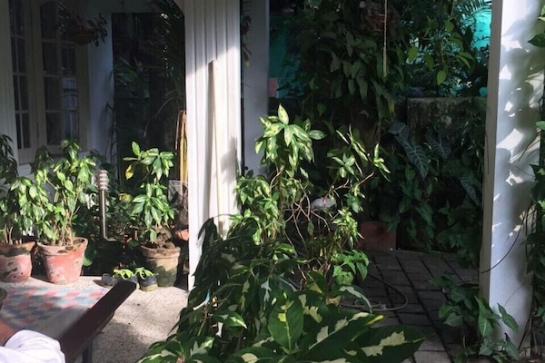 Garden view