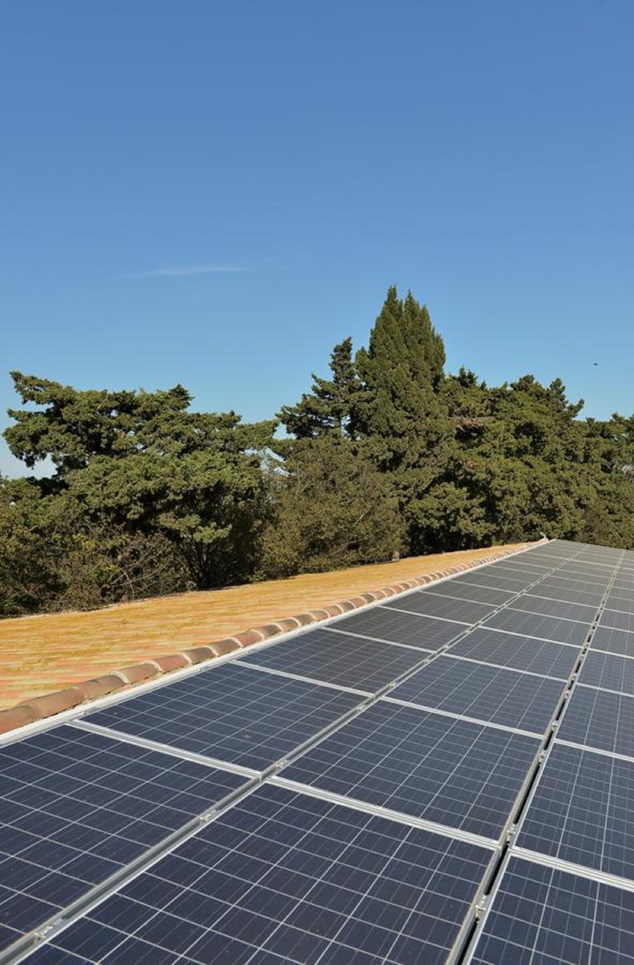 Panells solars a la teulada, amb un cel serè i arbres al fons.