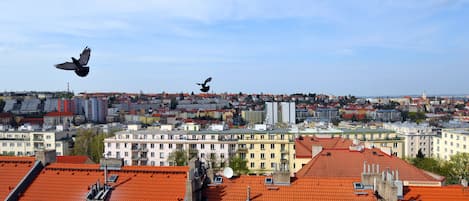 A cityscape with red-roofed buildings and two birds flying.