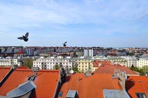 Standard-Doppelzimmer zur Einzelnutzung | Ausblick vom Zimmer