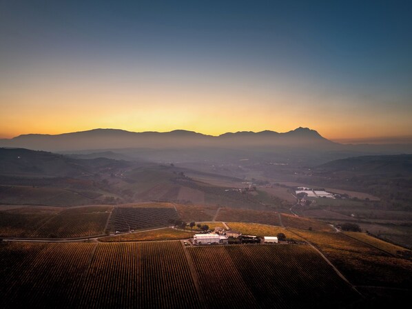 An aerial view of a vineyard with rows of grapevines, a small building, and rolling hills in the background. - Masseria Ciavolich (Loreto Aprutino)