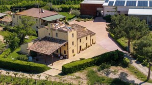 Une propriété rurale comprenant un grand bâtiment, une construction plus petite avec un toit en tuiles et un vignoble.