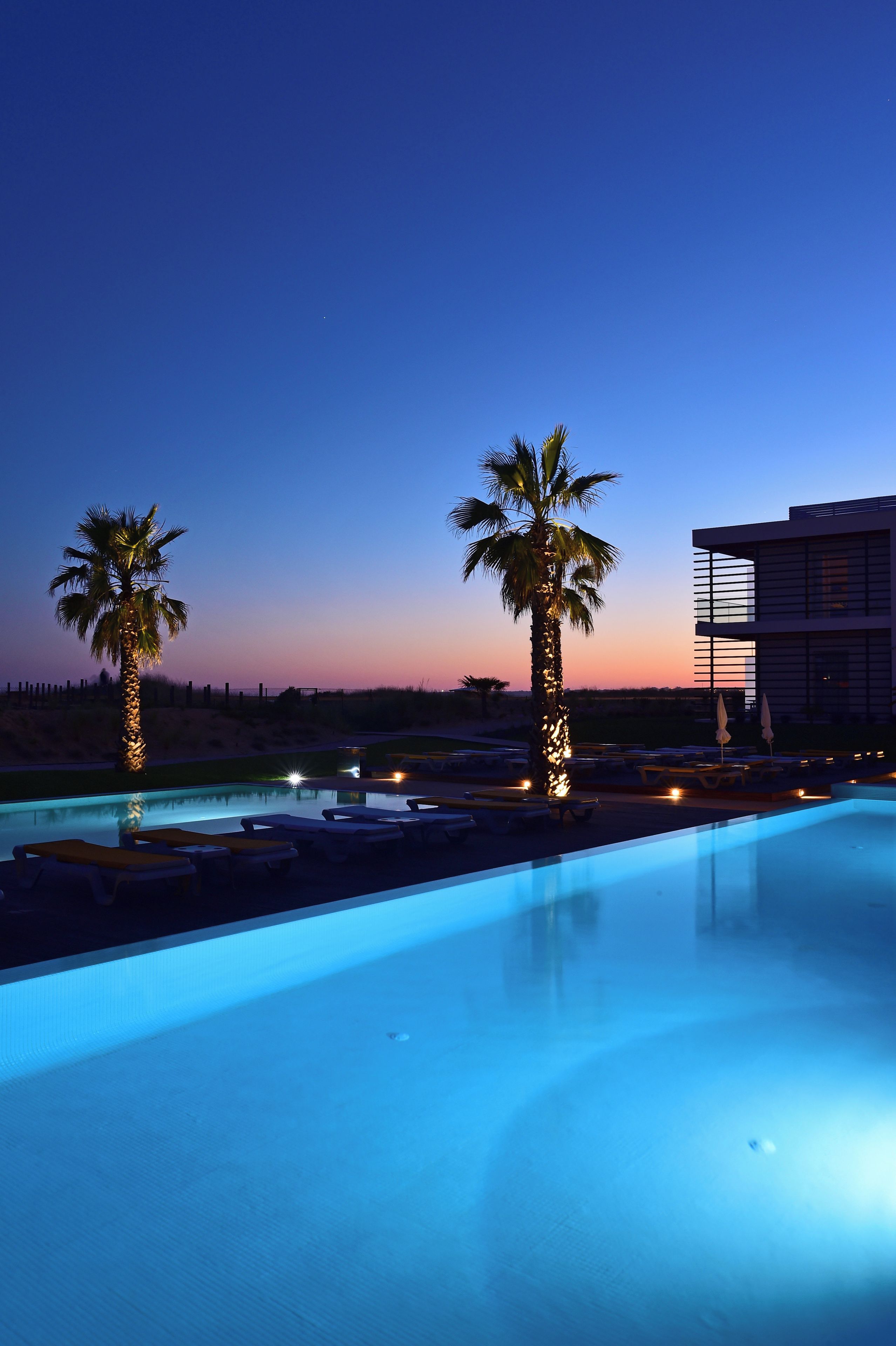 Una piscina con sillas de descanso y palmeras, rodeada por un edificio moderno.
