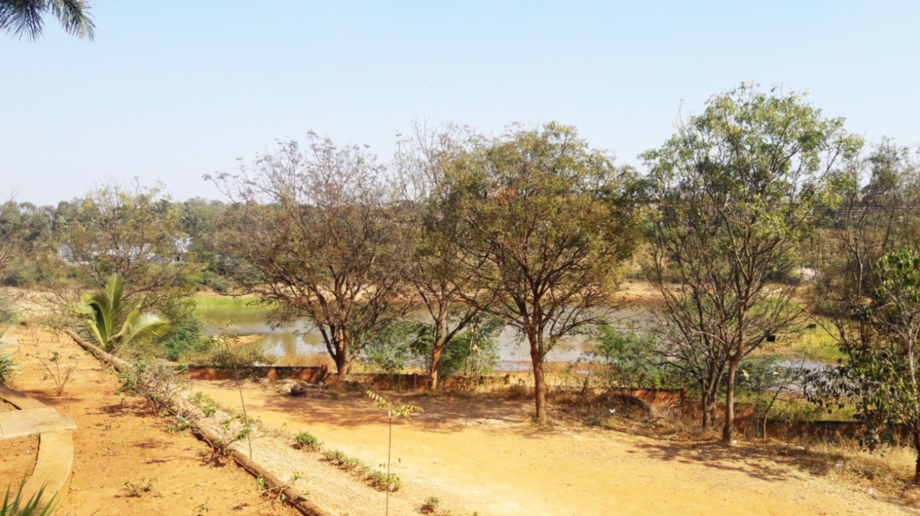 A natural landscape with a dirt path, trees, and a body of water.