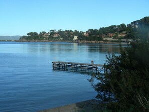 Pet-friendly - Agriturismo Da Paola (Manciano)