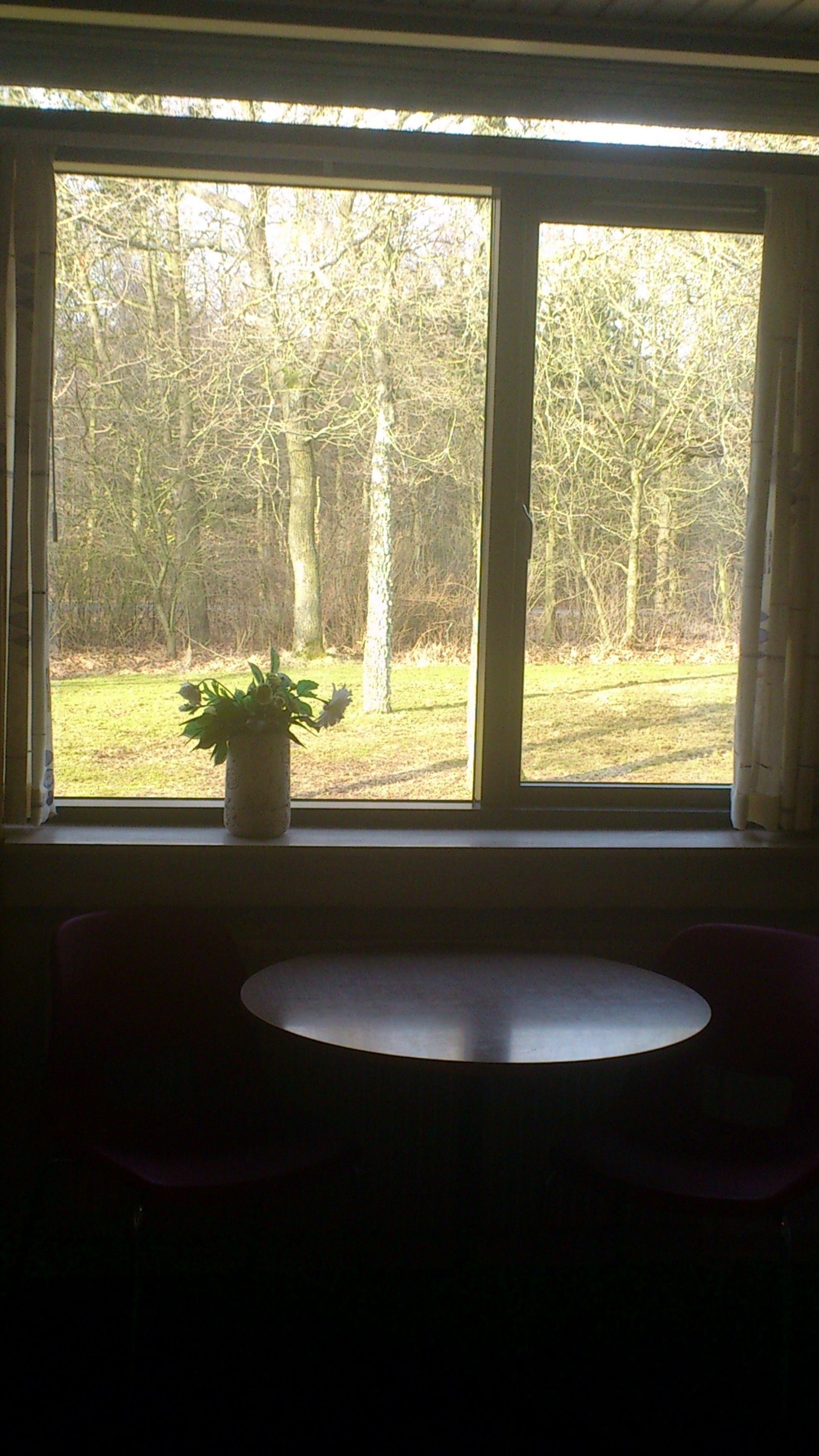 A room with a large window, a potted plant on the windowsill, and a round table with two chairs.