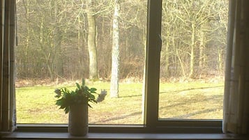 A room with a large window, a potted plant on the windowsill, and a round table with two chairs.