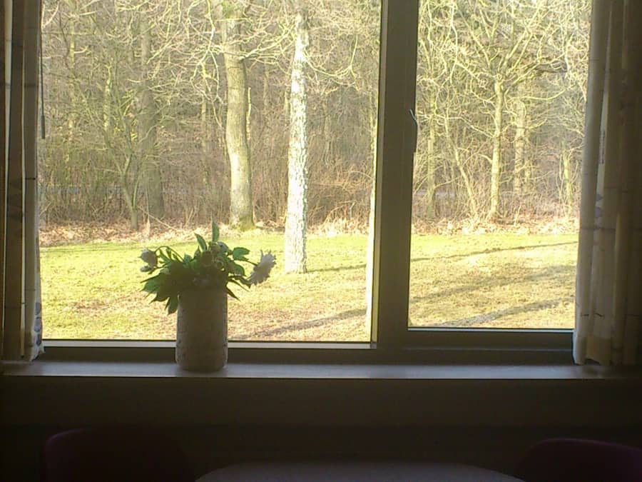 A room with a large window, a potted plant on the windowsill, and a round table with two chairs.