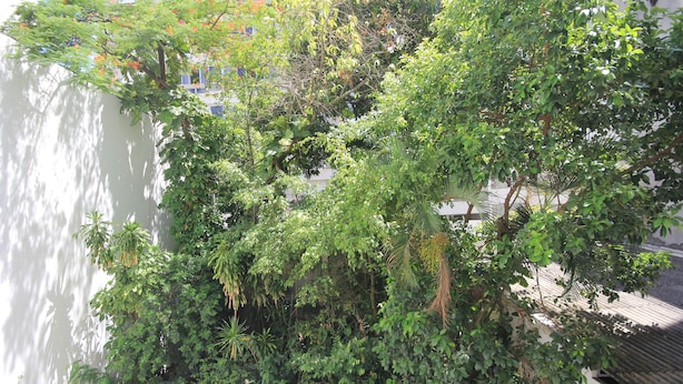สแตนดาร์ดอพาร์ทเมนท์, 2 ห้องนอน, ห้องครัว, ริมชายหาด | วิวจากห้องพัก