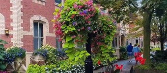 Cobblestone Bed and Breakfast