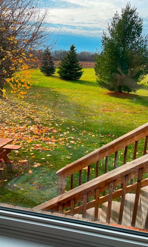 Vista desde una ventana sobre un patio cubierto de césped, con árboles y una escalera de madera.