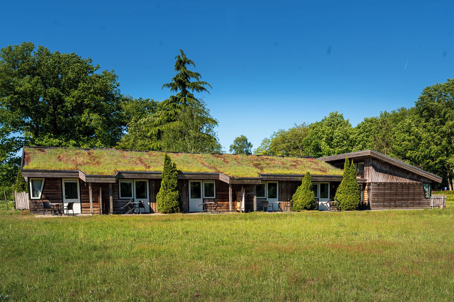 A row of cabins with a green roof, surrounded by a grassy field and trees.