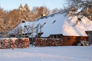 Eksteriør