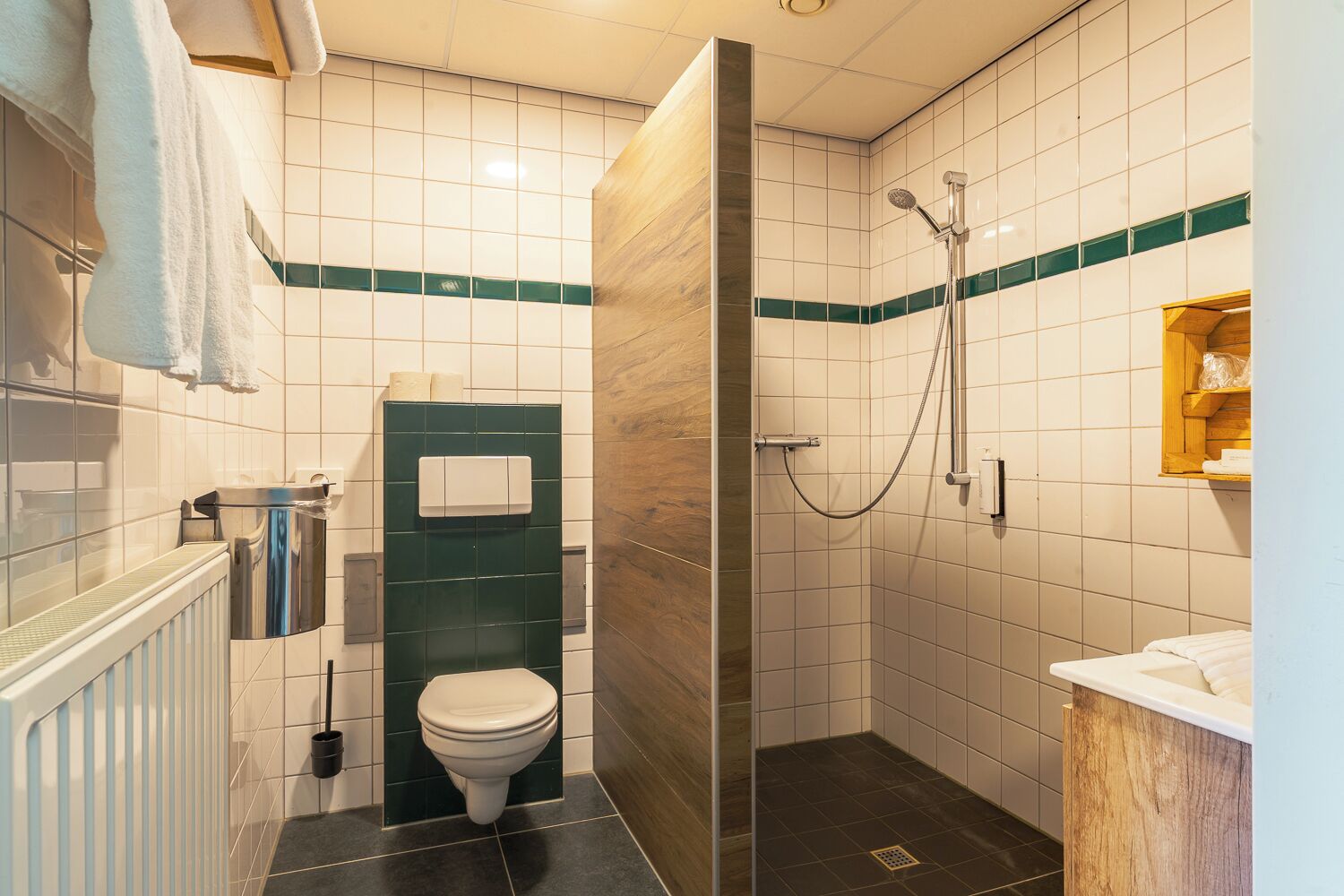 shower, free toiletries, hair dryer, towels