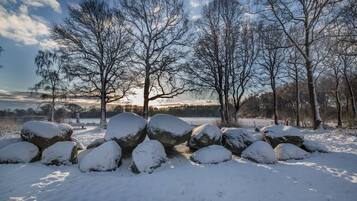 A snowy landscape with large rocks and leafless trees.