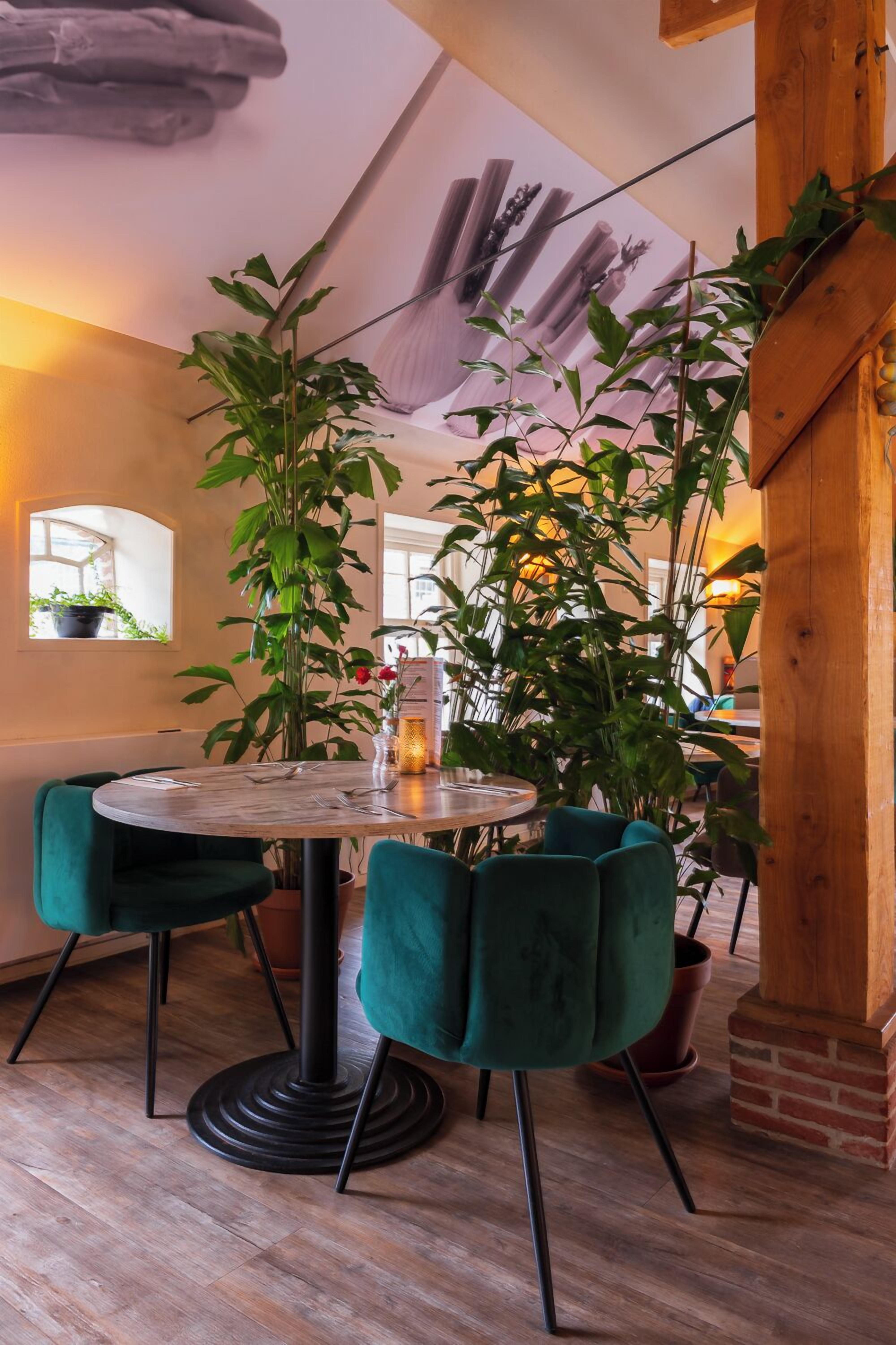 Un comedor acogedor con una mesa redonda, dos sillas color turquesa y una planta grande en maceta.