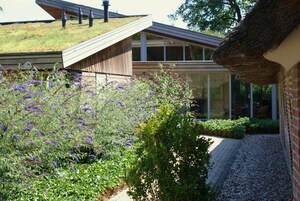 Un edificio moderno con techo inclinado, fachada de vidrio y jardín con flores moradas.