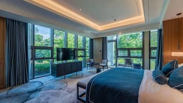 Minibar, in-room safe, alarm clocks