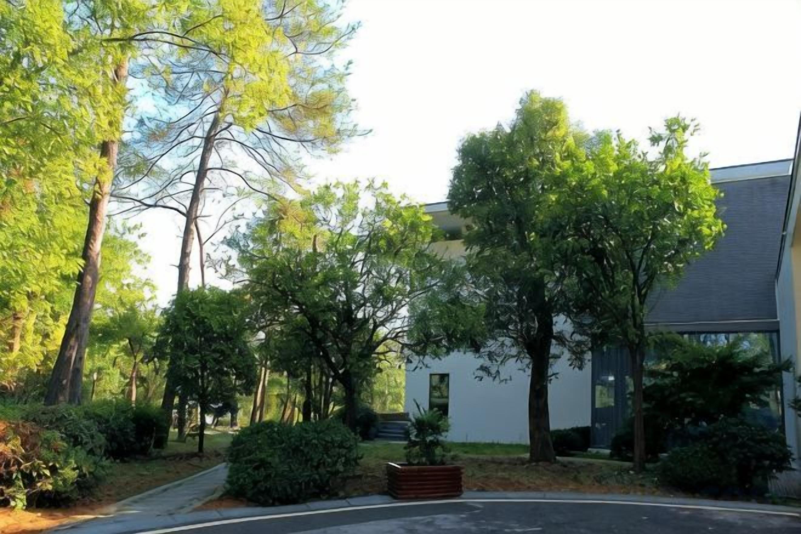 A residential area with a modern house, a driveway, and surrounding trees.