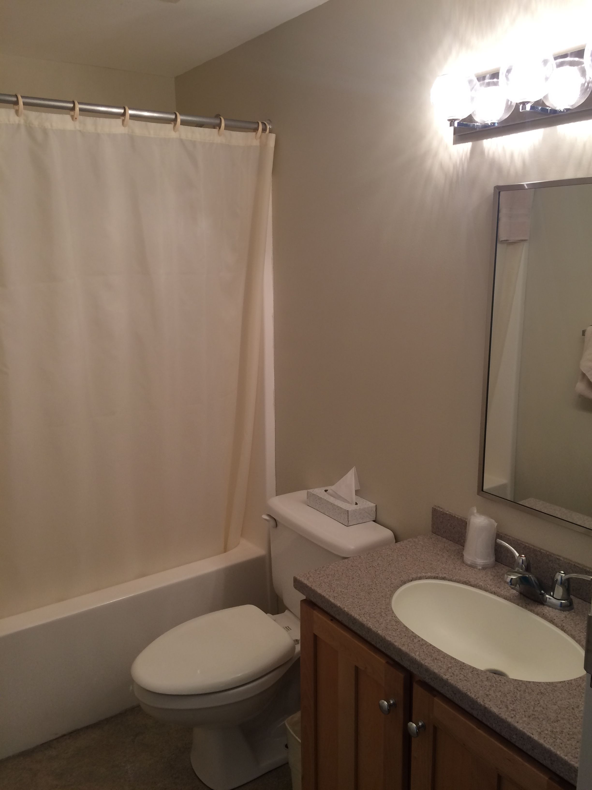 standard room, 2 queen beds | bathroom | free toiletries, towels