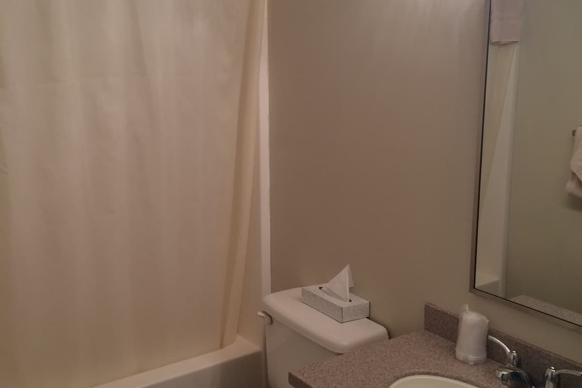 standard room, 2 queen beds | bathroom | free toiletries, towels