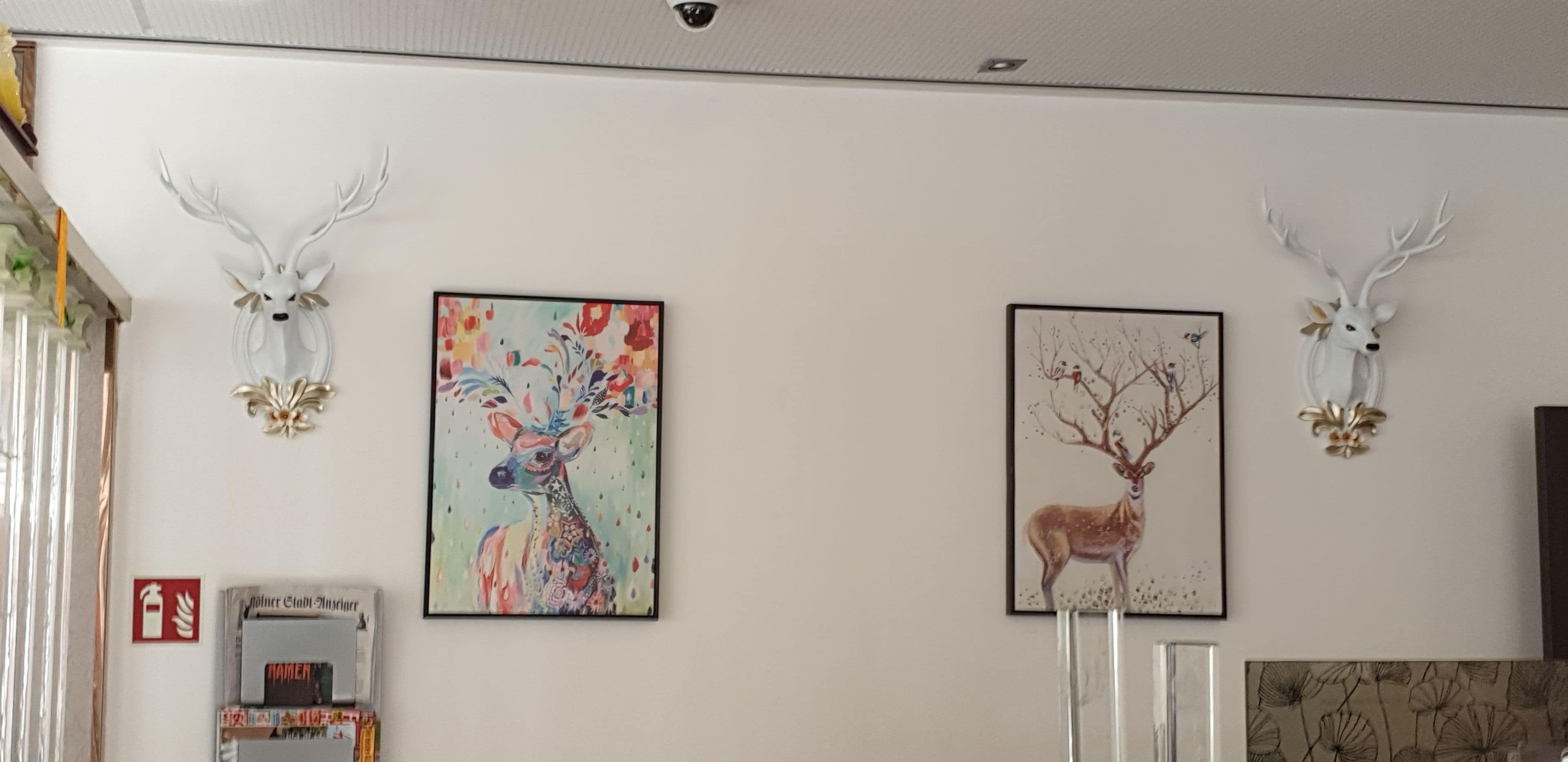 Une pièce décorée avec deux têtes de cerf au mur, une peinture colorée et un tableau encadré représentant un cerf.