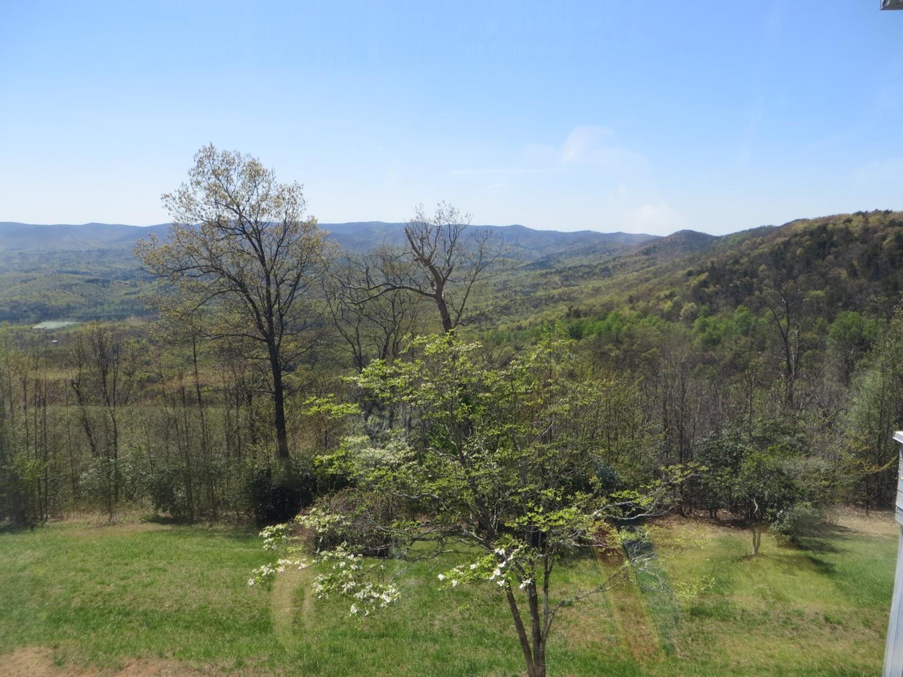 Une zone herbeuse avec des arbres et une vue sur des collines lointaines.